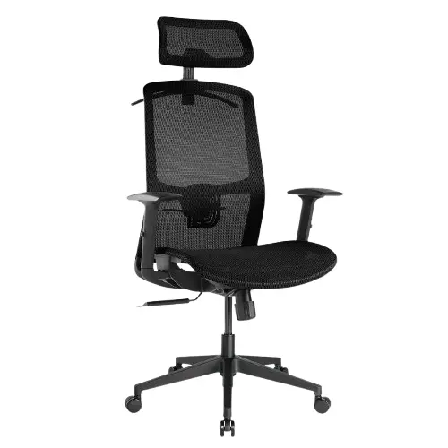 Desky Adjustable High Back Mesh Chair (Black) 1