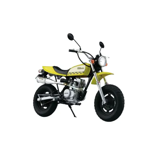 Aoshima 1/12 Honda Ac16 Ape - 50 '06 Custom Takegawa Ver. 1