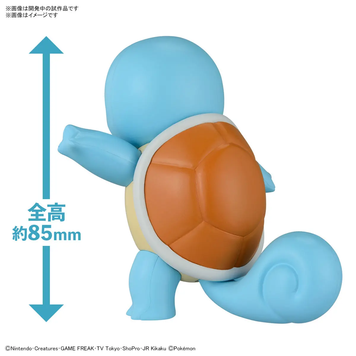 Pokemon Model Kit Quick!! 17 Squirtle 2