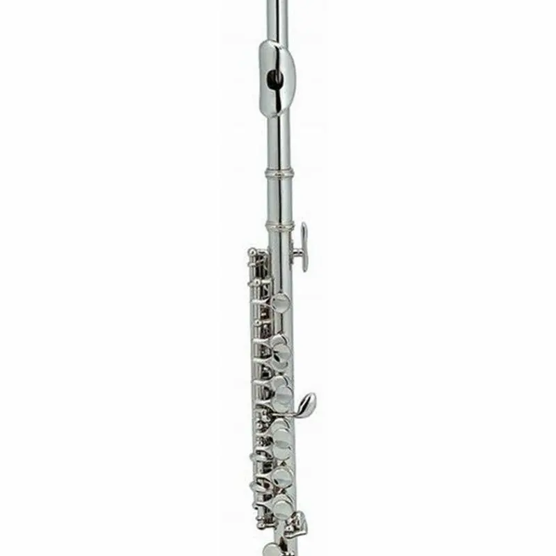 Axiom Prelude Series Silver Plated Beginner Piccolo With Case 1