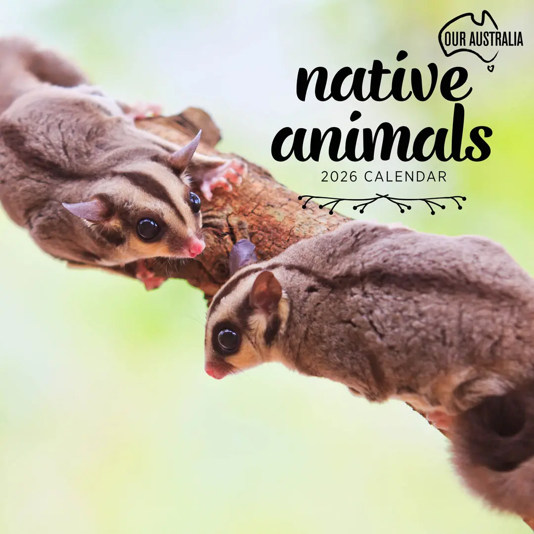 Paper Pocket Our Australia Native Animals 2026 Calendar 1