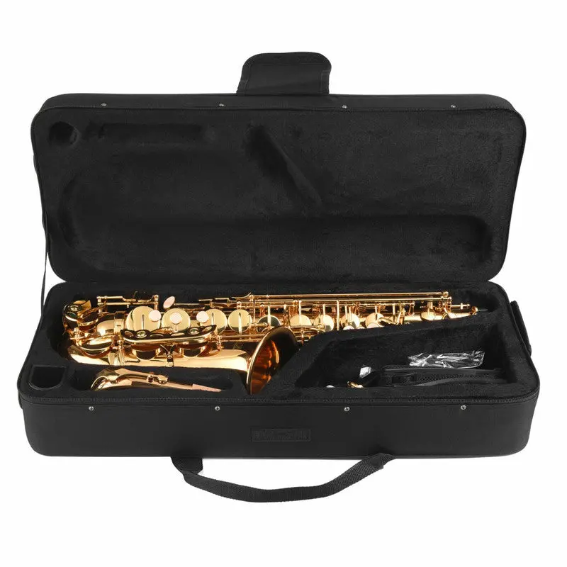 Axiom Prelude Tenor Saxophone Outfit - School Band Saxophone 2