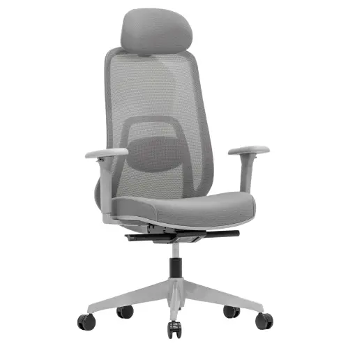 Desky Regal Mesh Office Chair - Mist Grey / Headrest 1