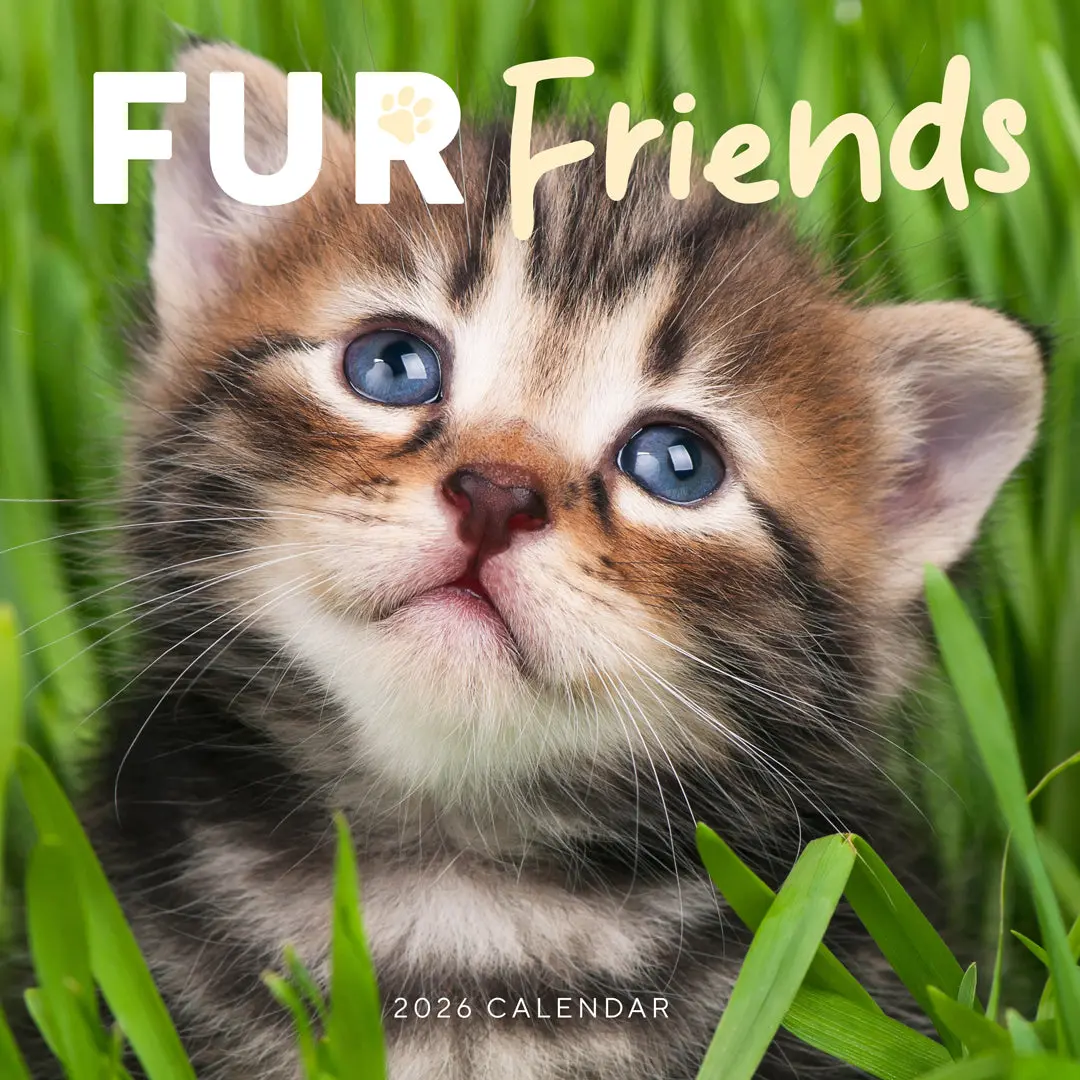 Paper Pocket Fur Friends 2026 Calendar 1