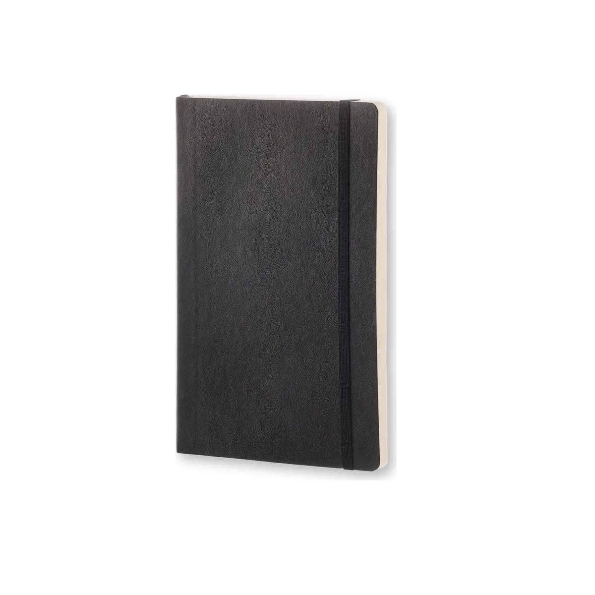 Moleskine Classic Dot Grid Soft Cover Notebook Large (Black) 2