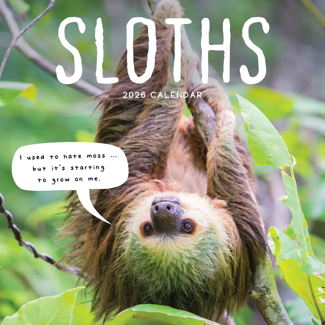 Paper Pocket Sloths 2026 Calendar 1