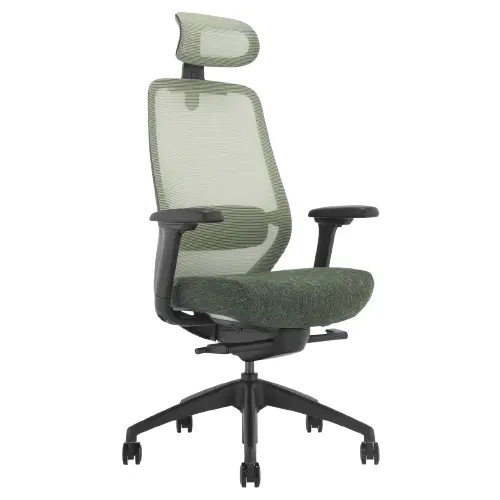 Desky Coilflex Ergonomic Office Chair - Dark Green / Headrest 1