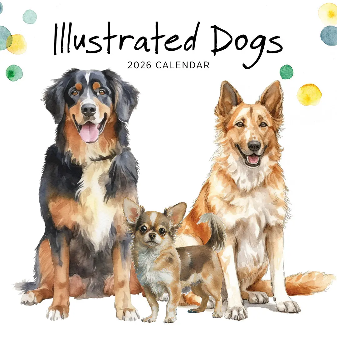 Paper Pocket Illustrated Dogs 2026 Calendar 1