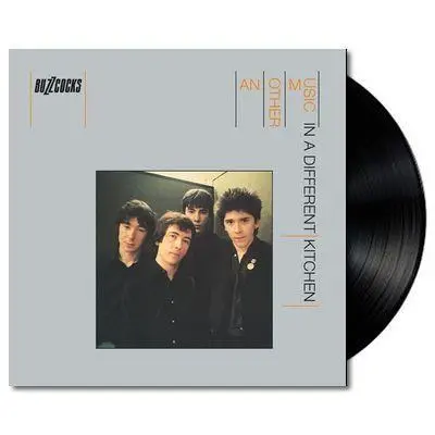 Another Music In A Different Kitchen (Vinyl) (Remastered Reissue) 1