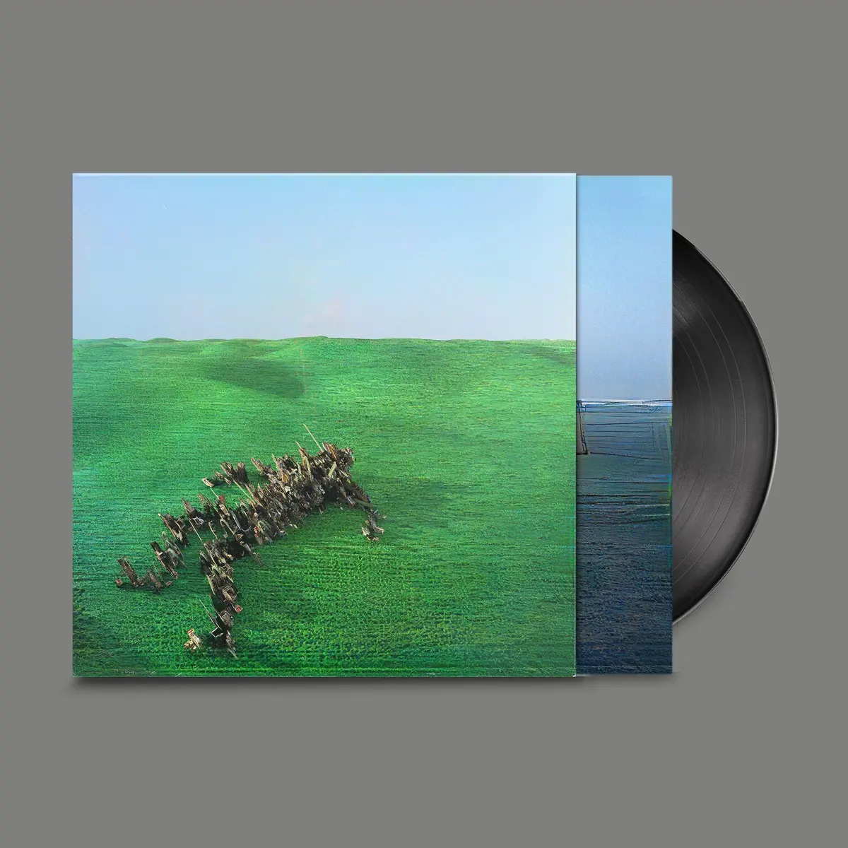 Bright Green Field (Vinyl) 1