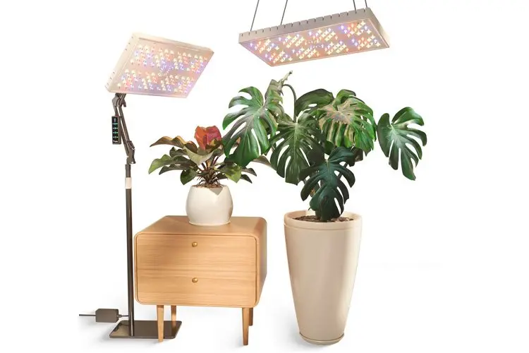 Letpot Smart Indoor 48W Grow Lights Full Spectrum 1