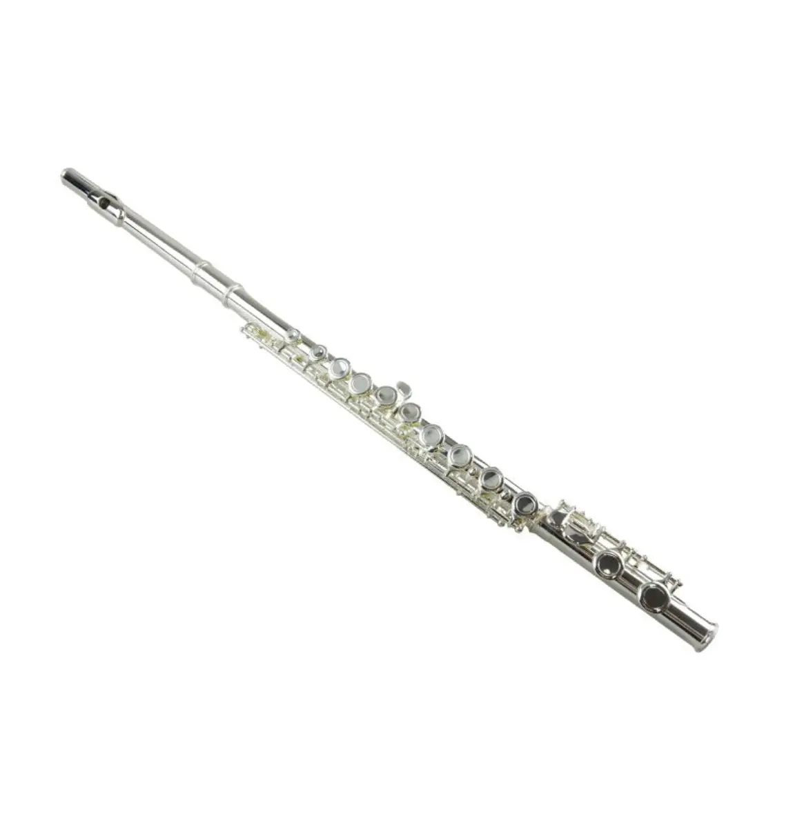 Freedom  16-Key C Flute Nickel Plated Student Beginner Hard Case 1