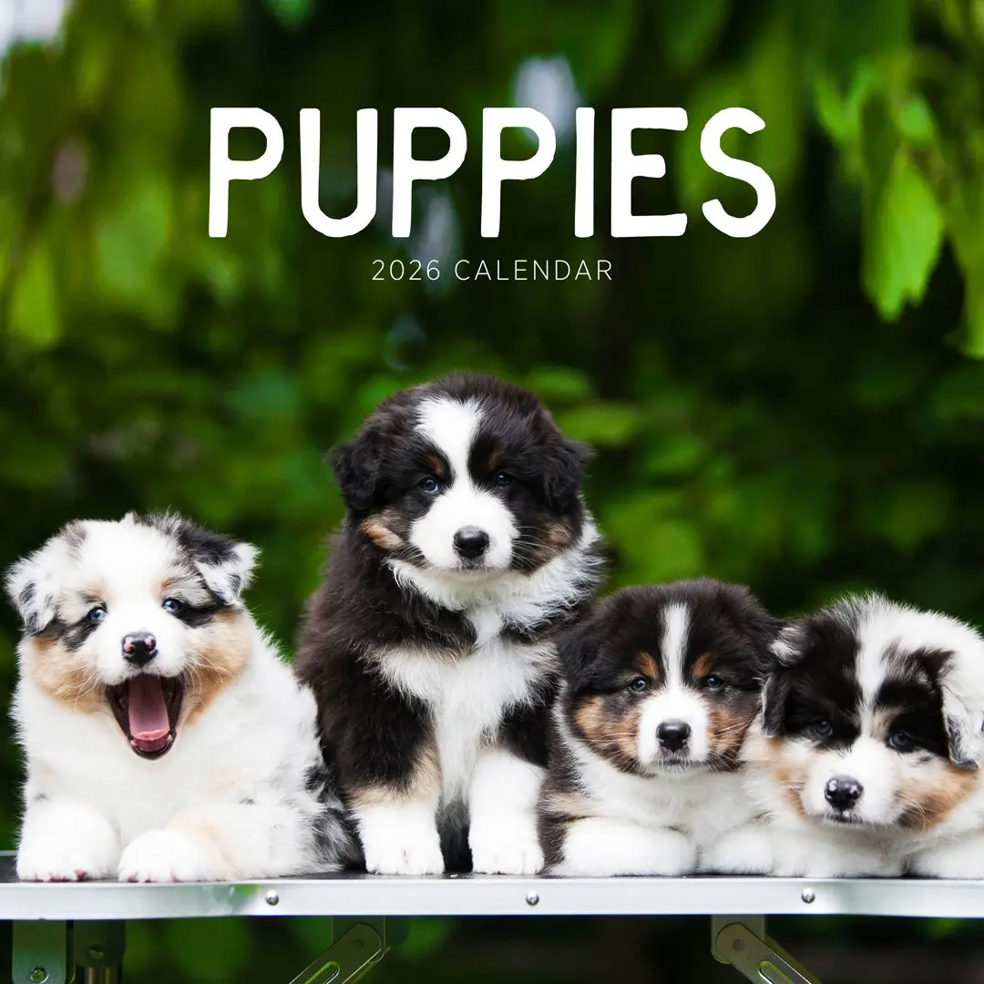 Paper Pocket Puppies 2026 Calendar 1
