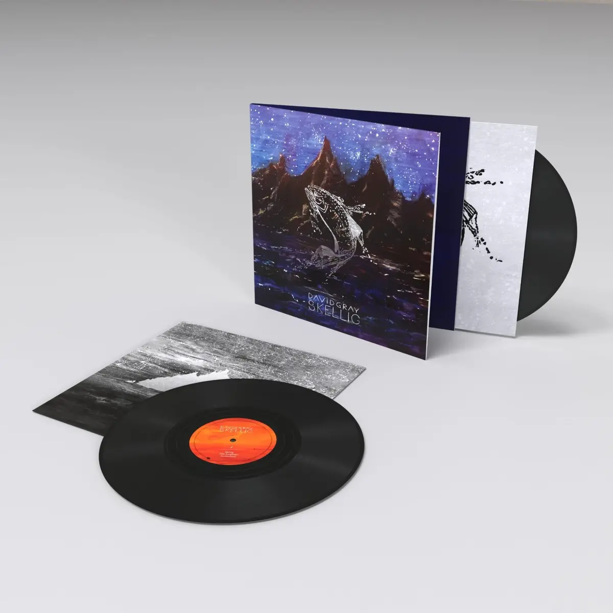 Skellig (Vinyl) 1