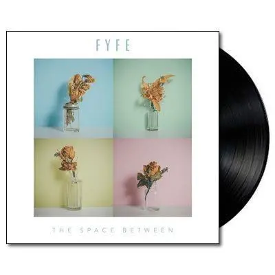 Space Between, The (Vinyl) 1