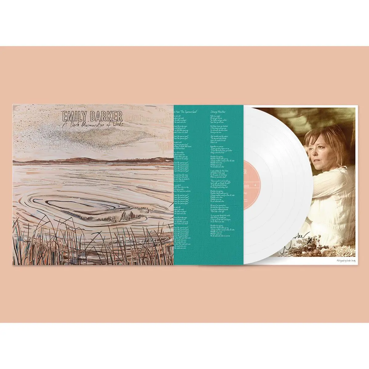 A Dark Murmuration Of Words (White Vinyl) 1