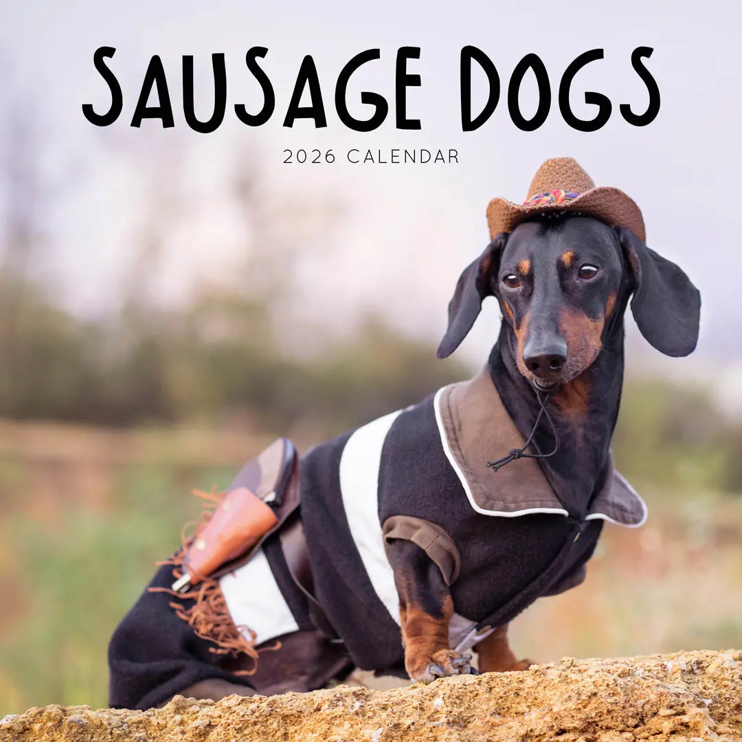 Paper Pocket Sausage Dogs 2026 Calendar 1