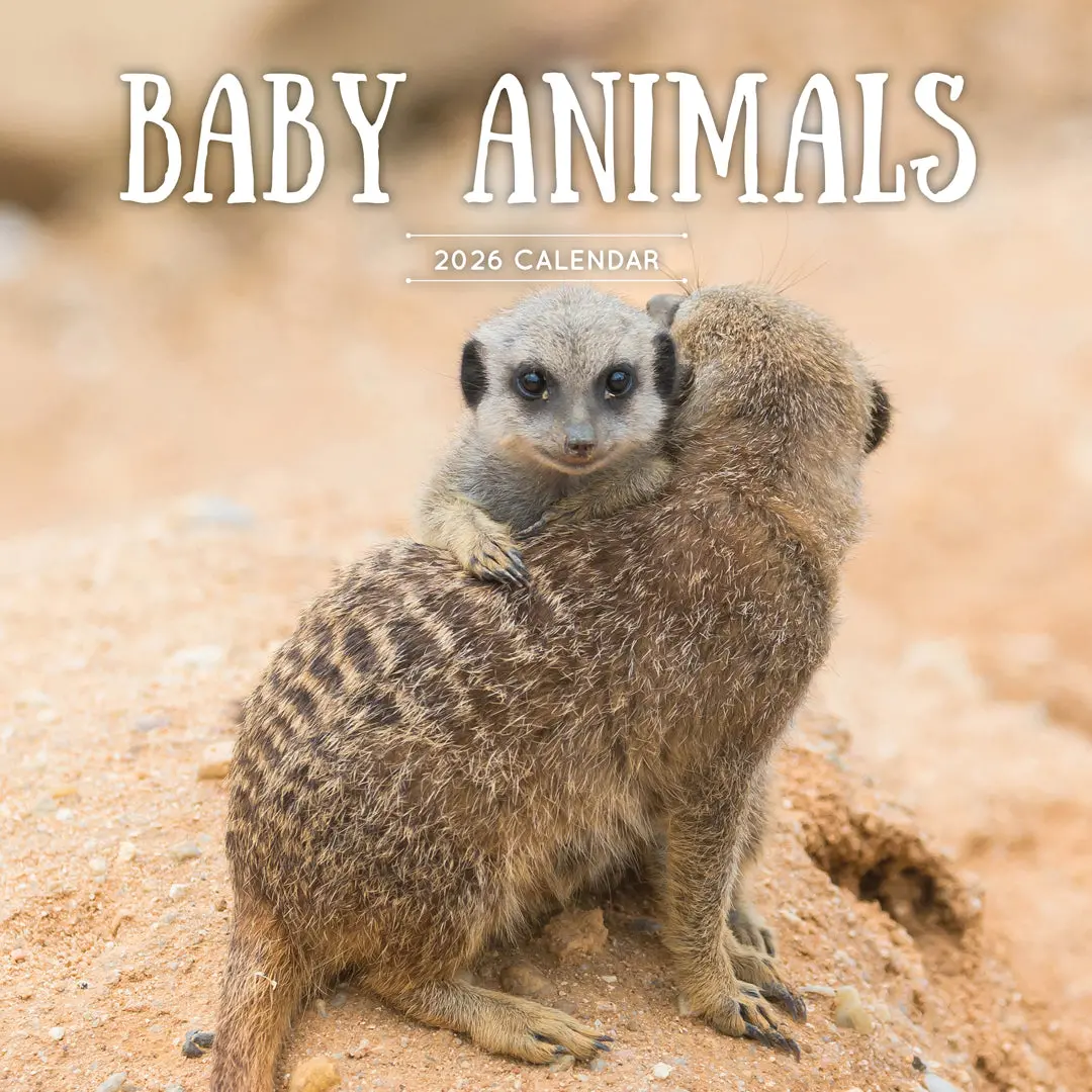 Paper Pocket Baby Animals 2026 Calendar 1