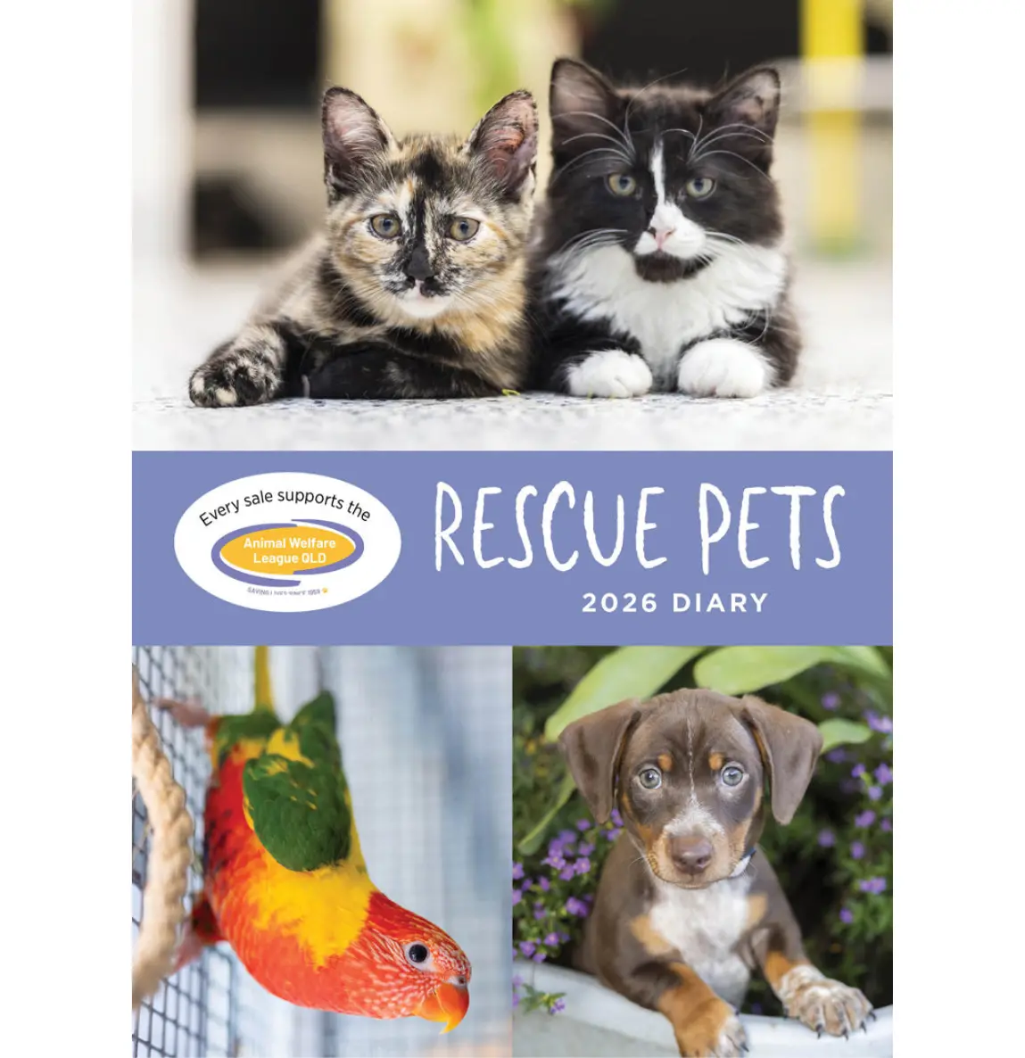 Paper Pocket Rescue Pets 2026 Diary 1