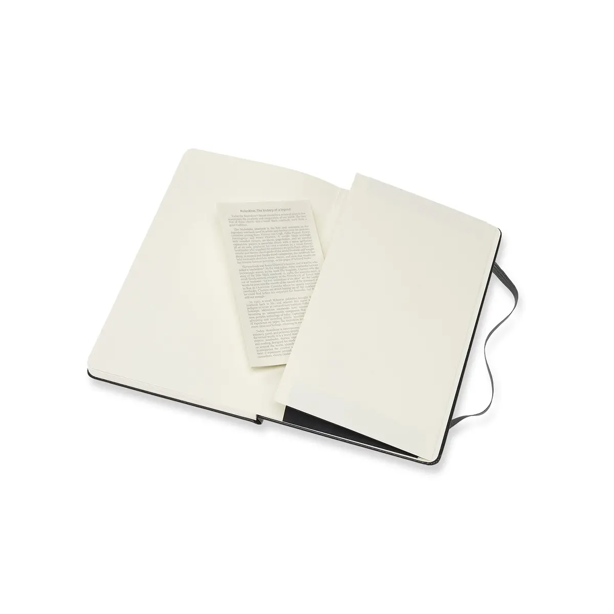 Moleskine Art 200Gsm Watercolour Notebook Large (Black) 2