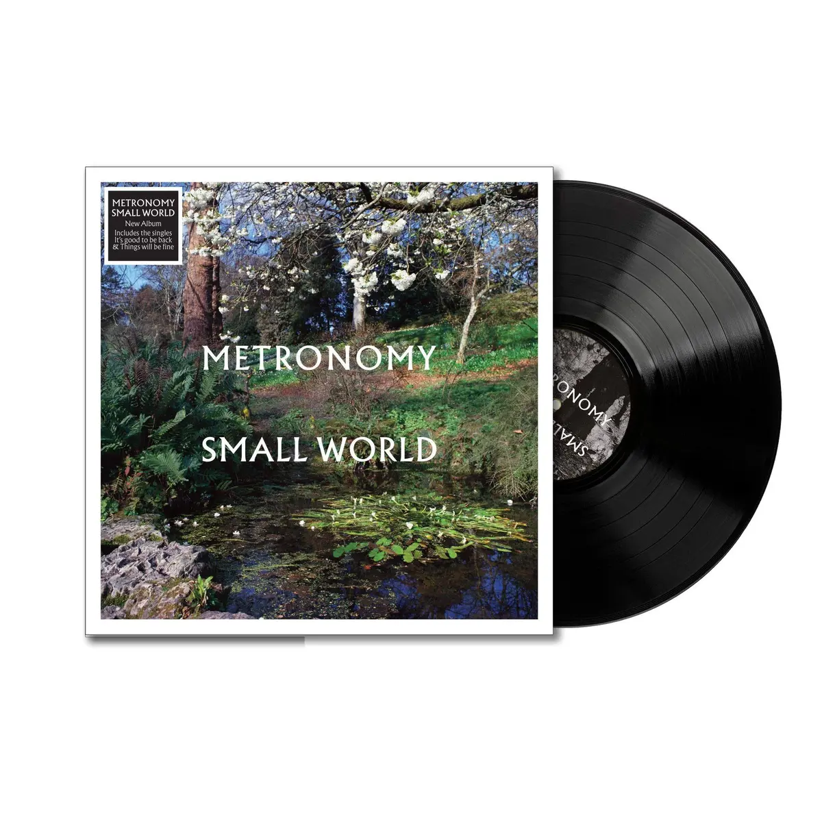 Small World (Vinyl) 1