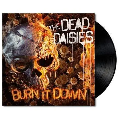 Burn It Down (Vinyl) 1