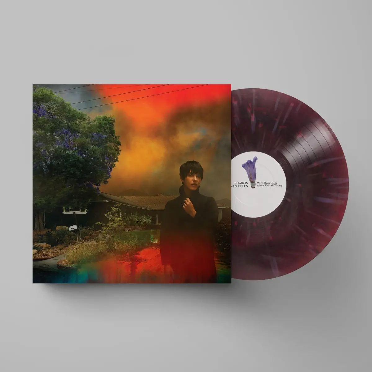 We've Been Going About This All Wrong (Jb Hi-Fi Au Exclusive Maroon Insomnia Vinyl) 1