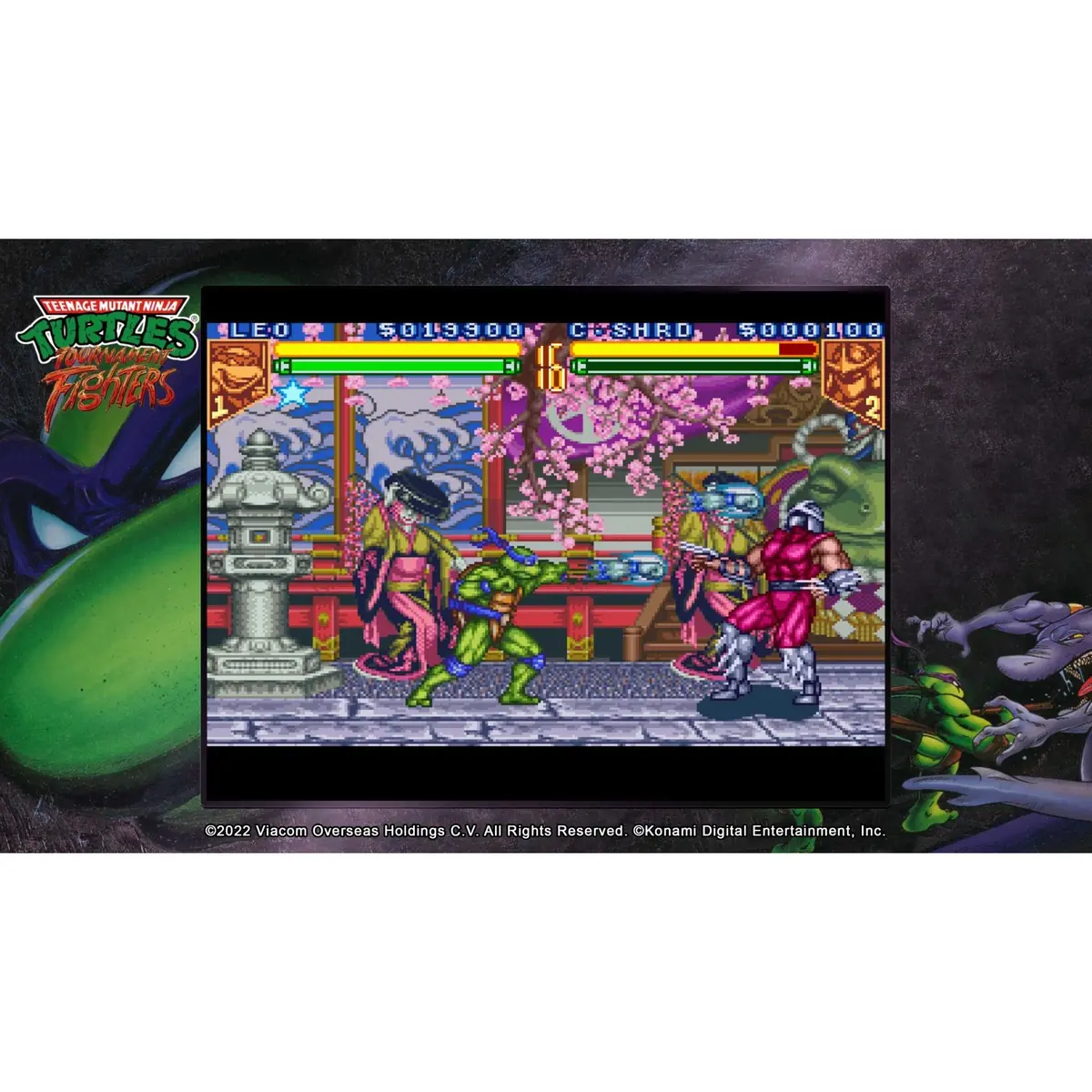 Teenage Mutant Ninja Turtles The Cowabunga Collection 2