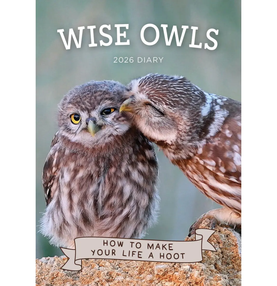 Paper Pocket Wise Owls 2026 Diary 1