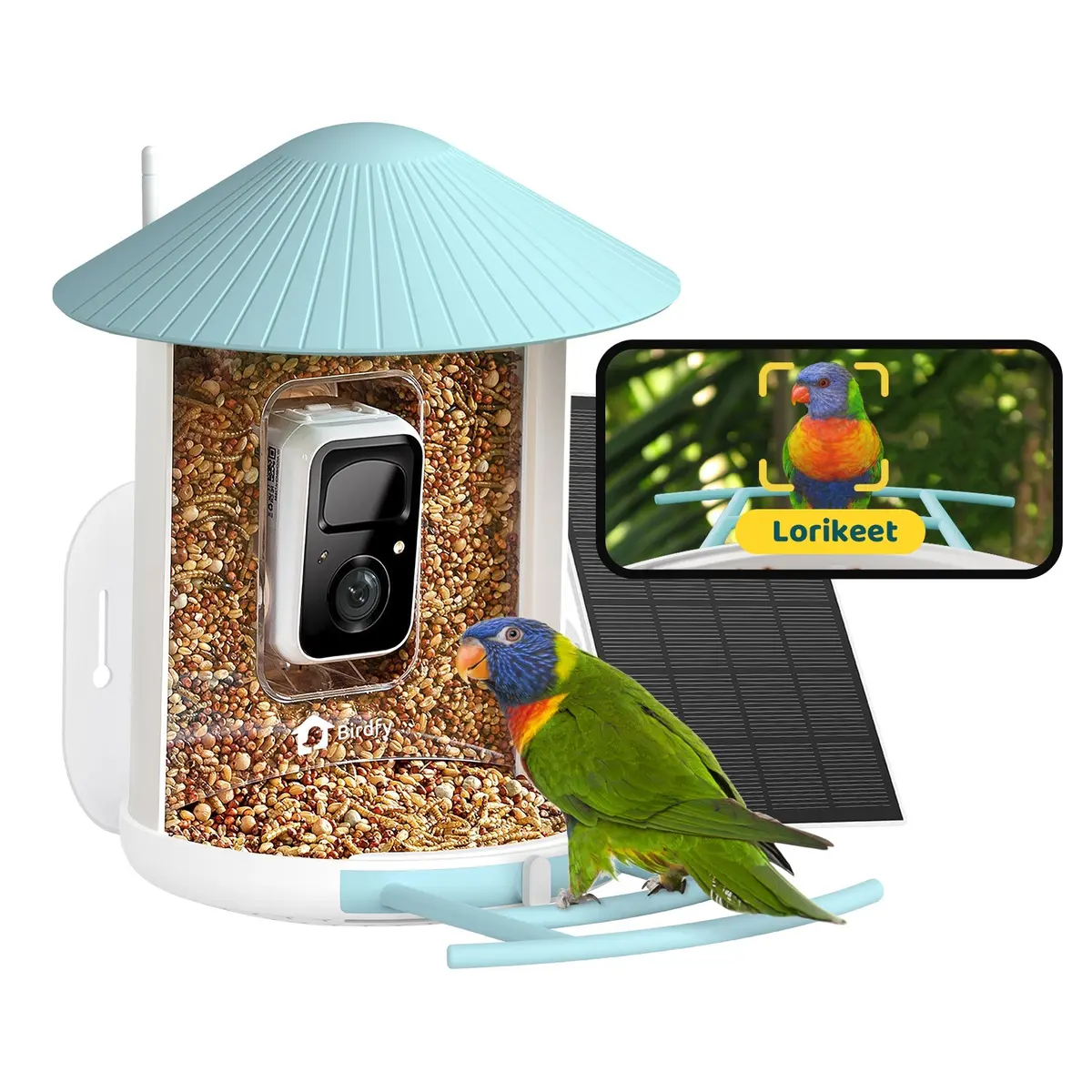 Birdfy Feeder Ai Lifetime Free With Solar (Blue) 1
