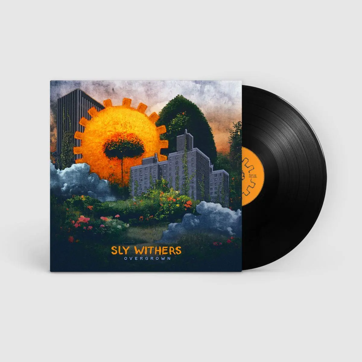 Overgrown (Vinyl) 1