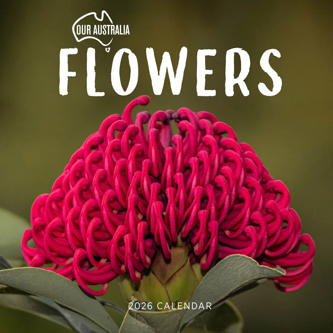Paper Pocket Our Australia Flowers 2026 Calendar 1