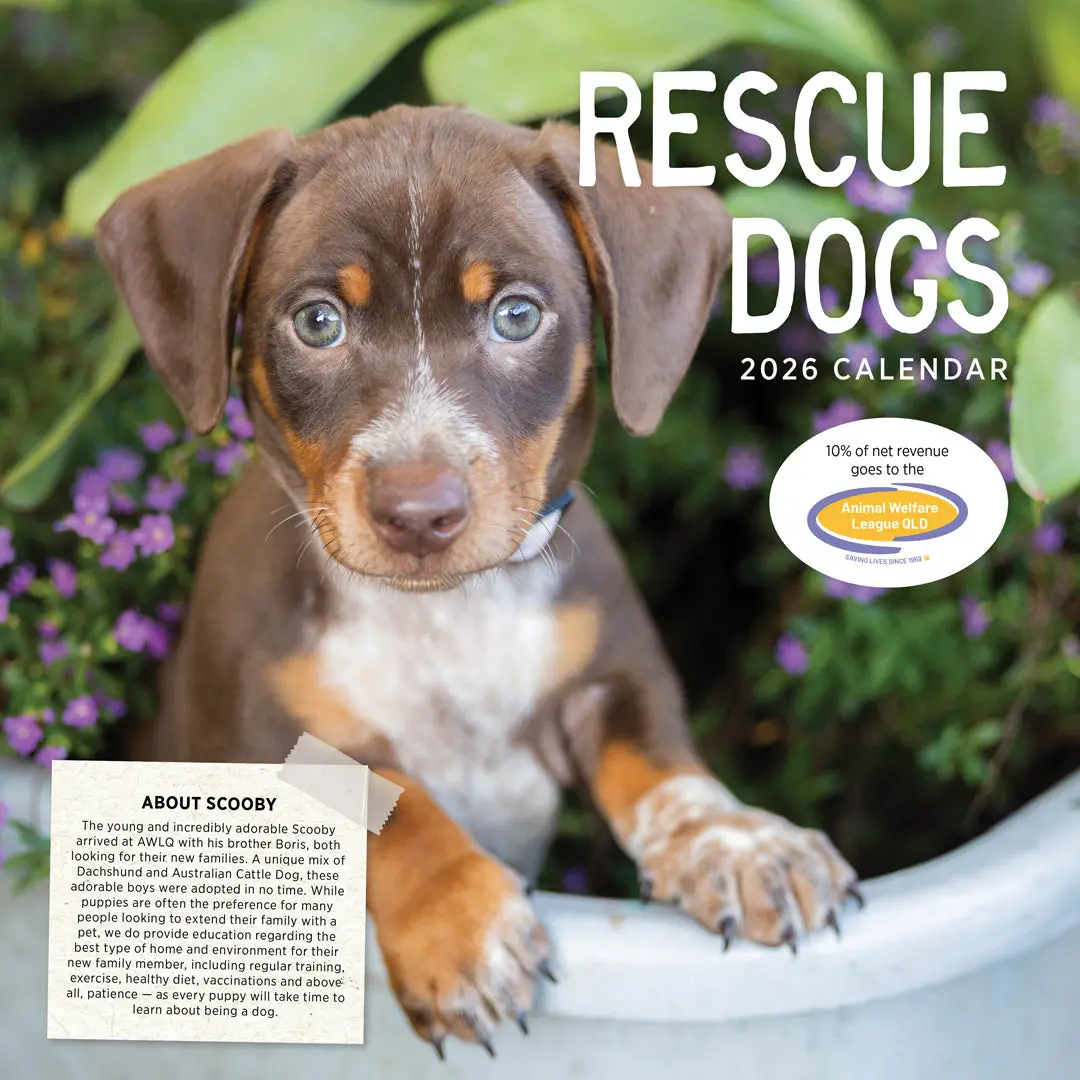 Paper Pocket Rescue Dogs 2026 Calendar 1