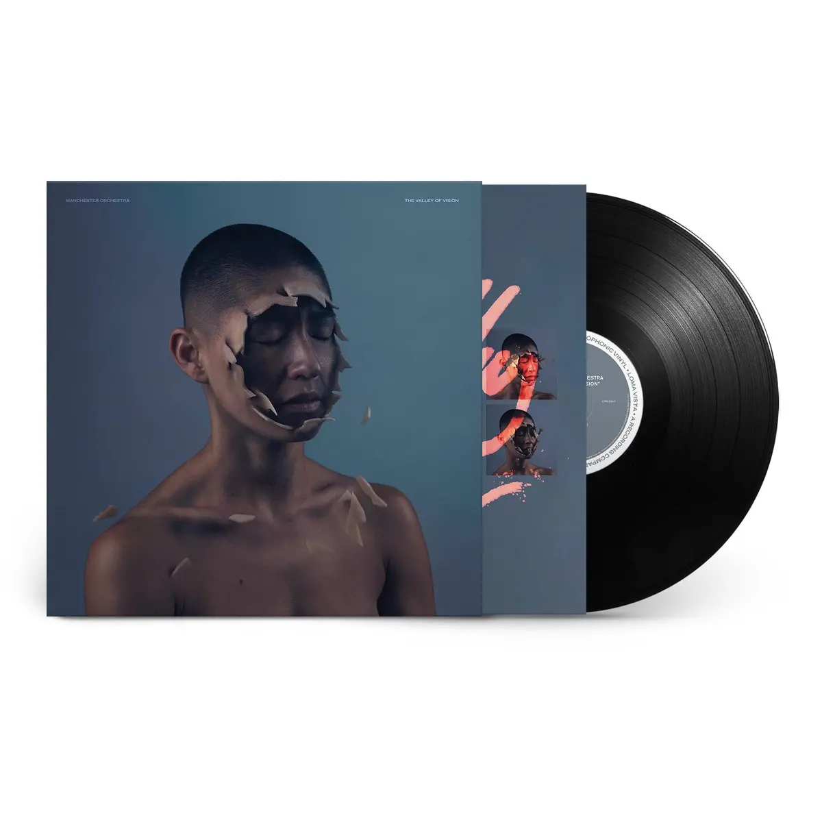 Valley Of Vision, The (Vinyl) 1