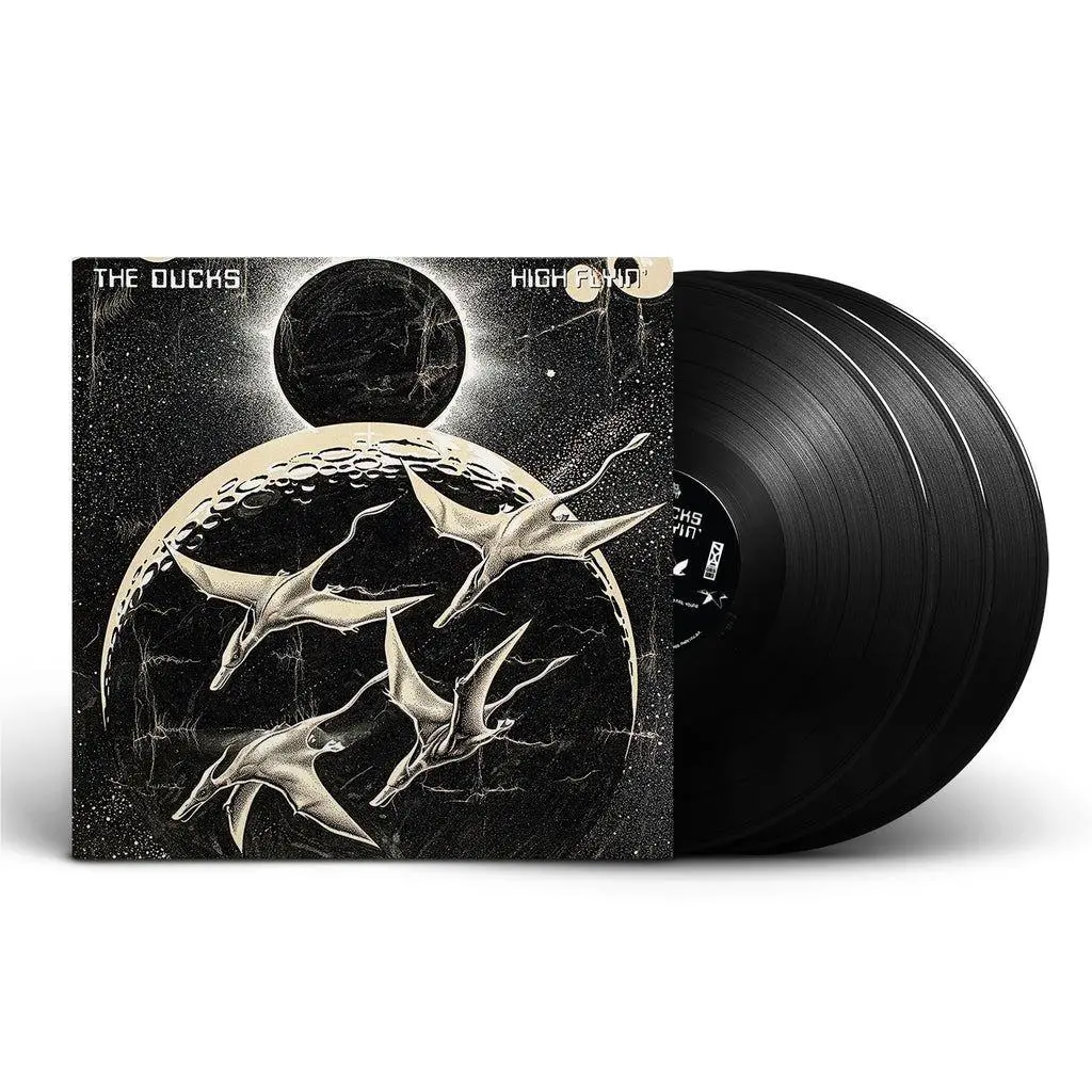 High Flyin' (Vinyl) 1
