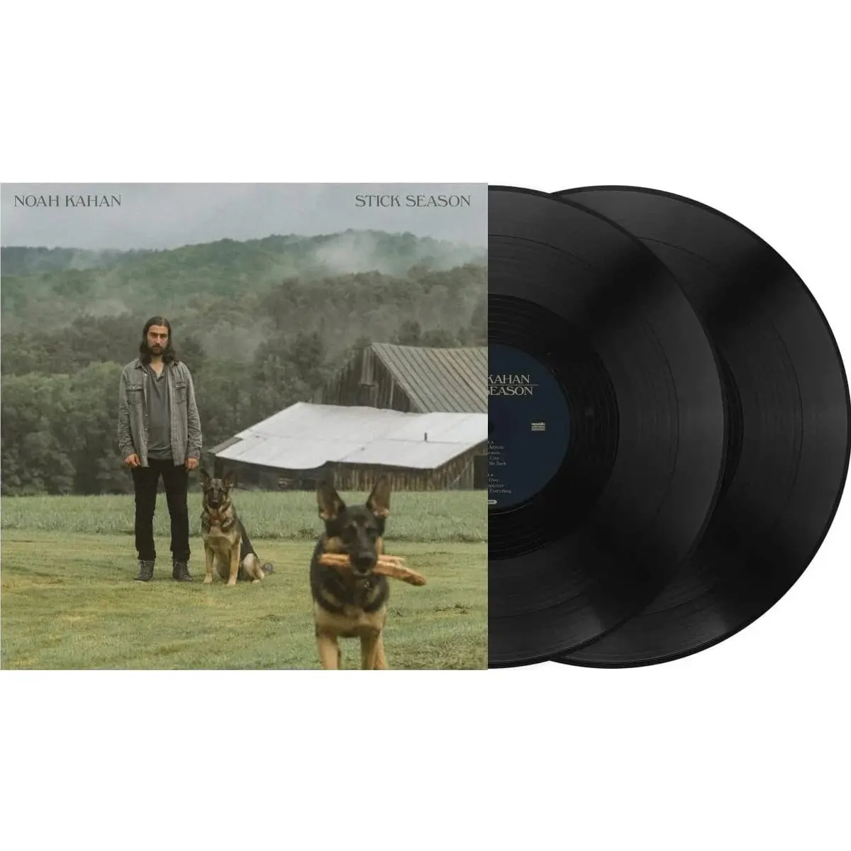 Stick Season (Vinyl) 1