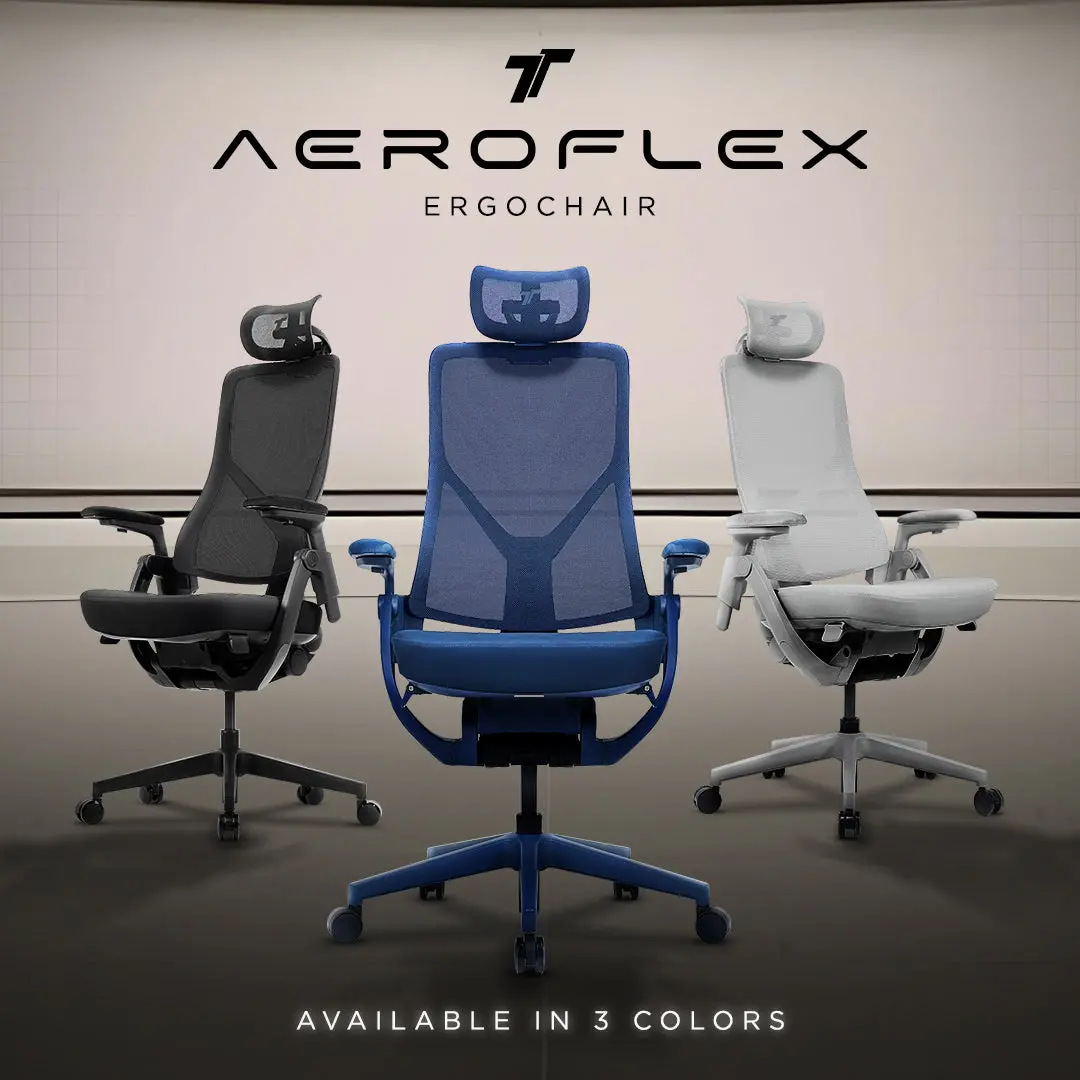 Tt Aeroflex Ergochair - Ashy Grey 2
