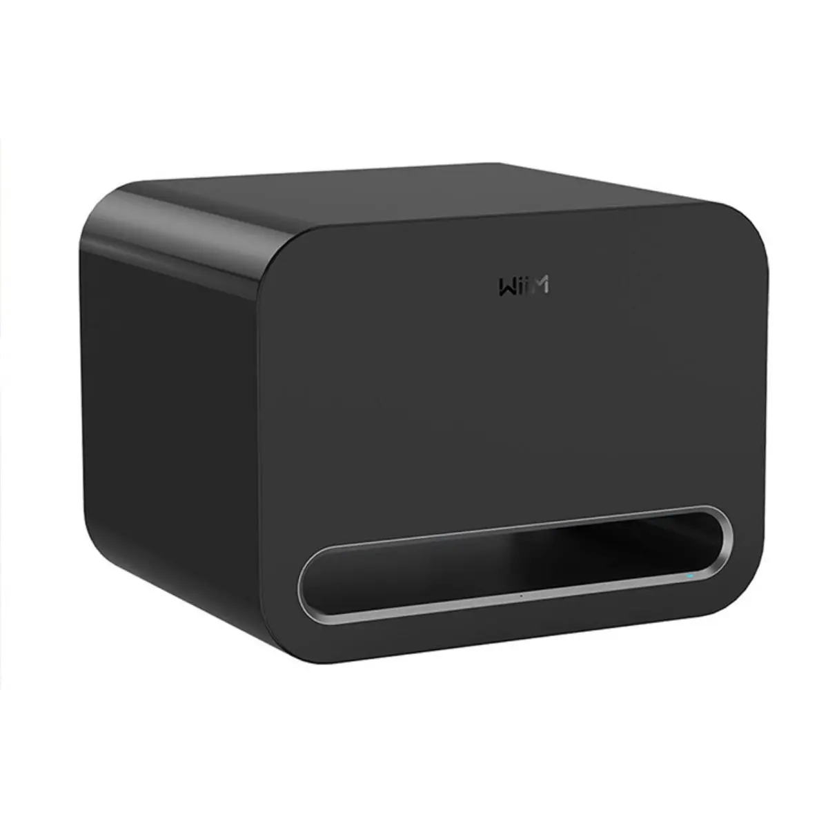 Wiim Sub Pro Wireless Subwoofer 1