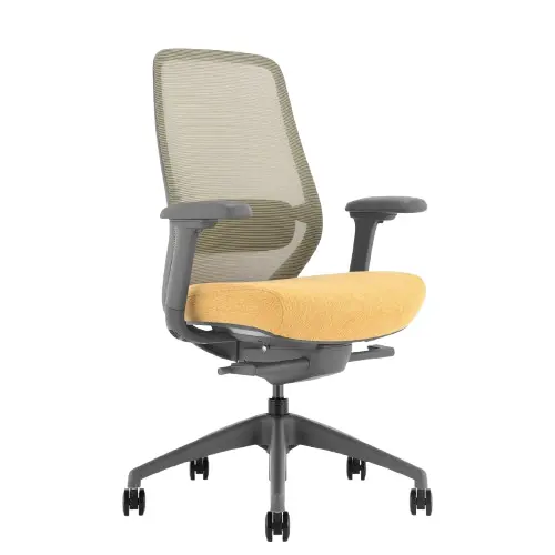 Desky Coilflex Ergonomic Office Chair - Yellow/Grey / No Headrest 1