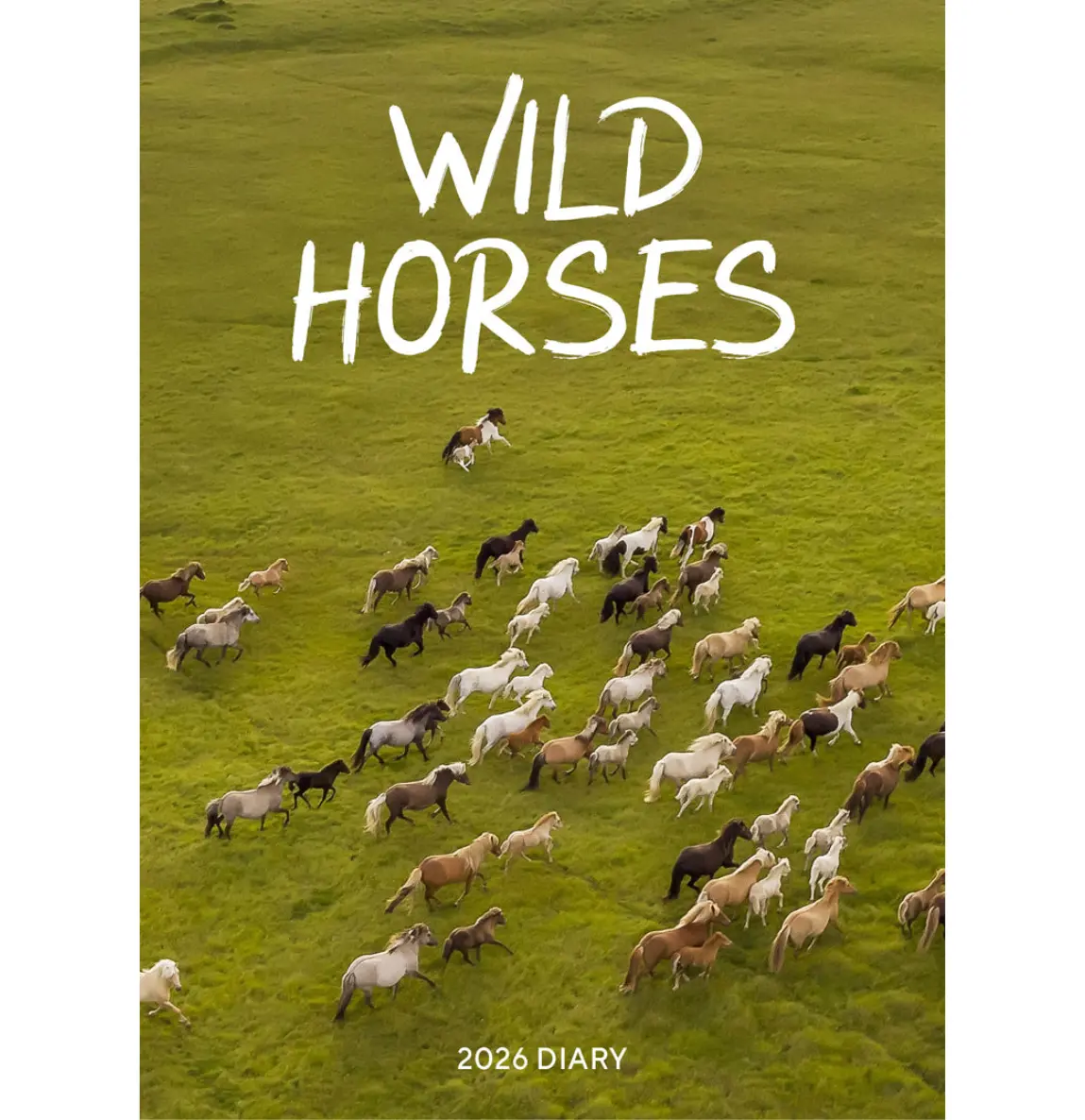 Paper Pocket Wild Horses 2026 Diary 1