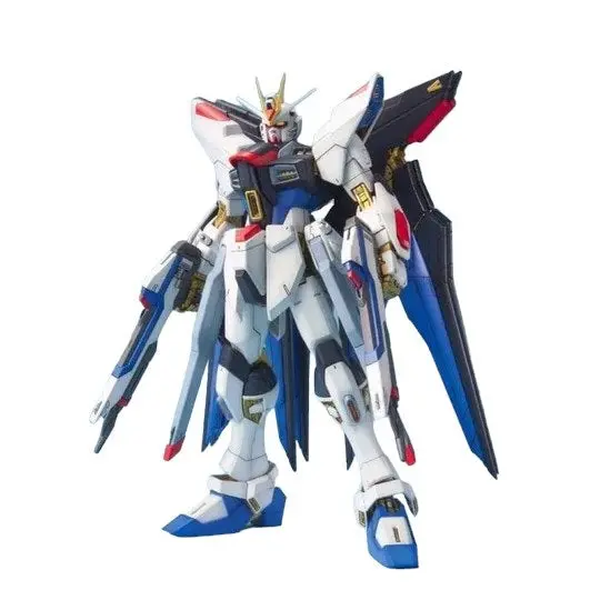 Mg 1/100 Strike Freedom Gundam 1