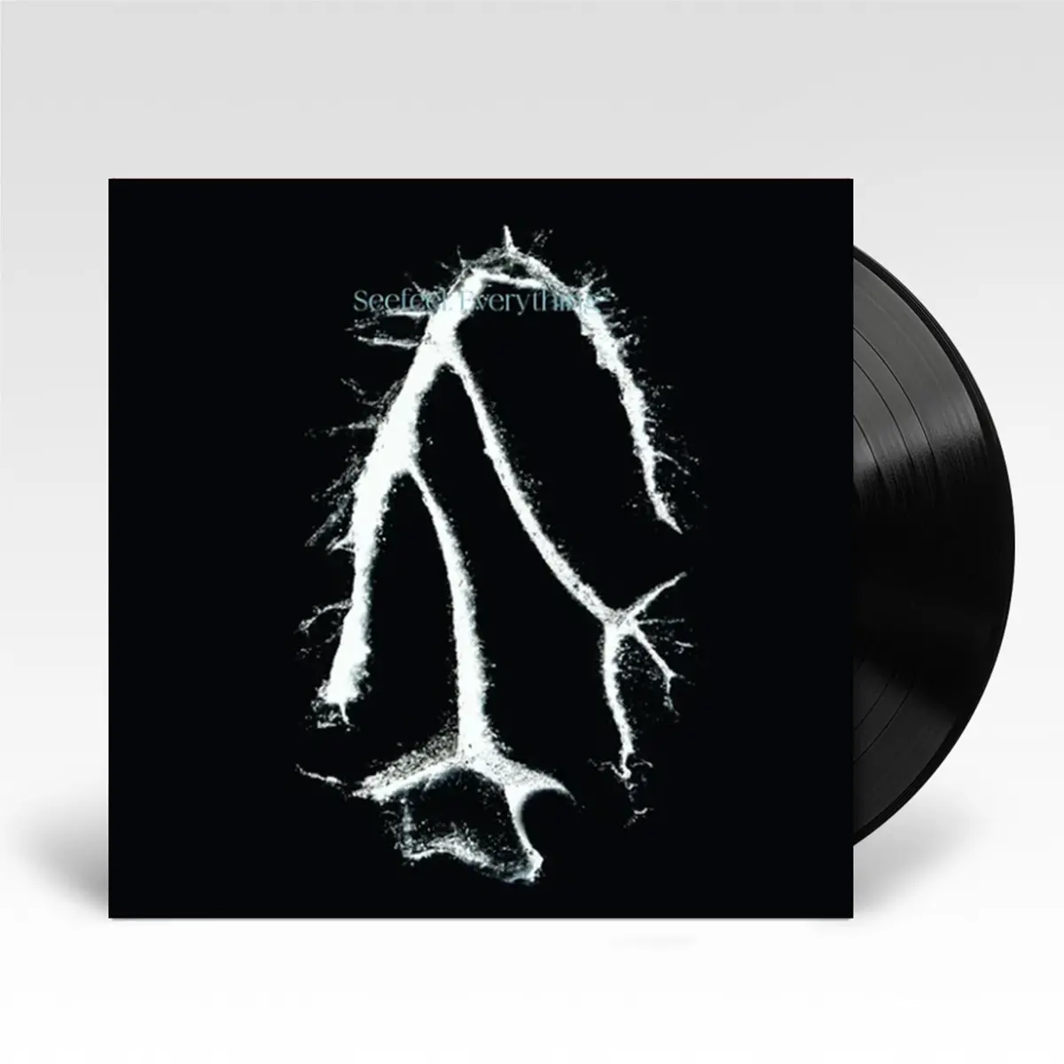 Everything Squared (12In Vinyl) 1
