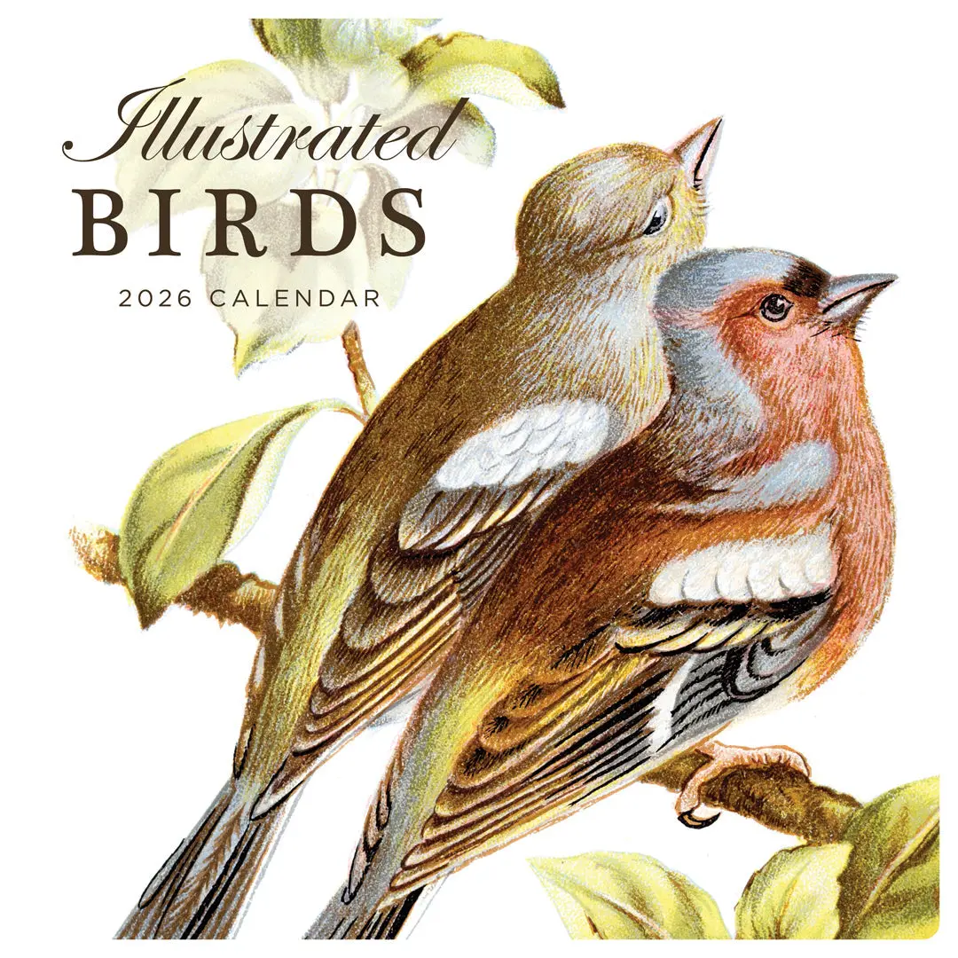 Paper Pocket Illustrated Birds 2026 Calendar 1