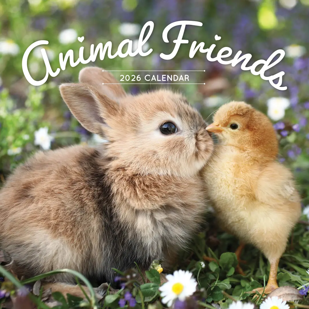 Paper Pocket Animal Friends 2026 Calendar 1