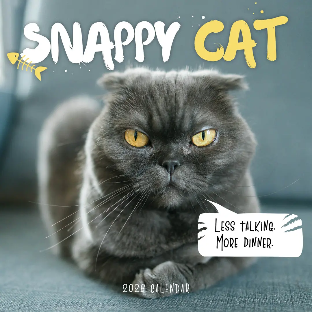 Paper Pocket Snappy Cat 2026 Calendar 1