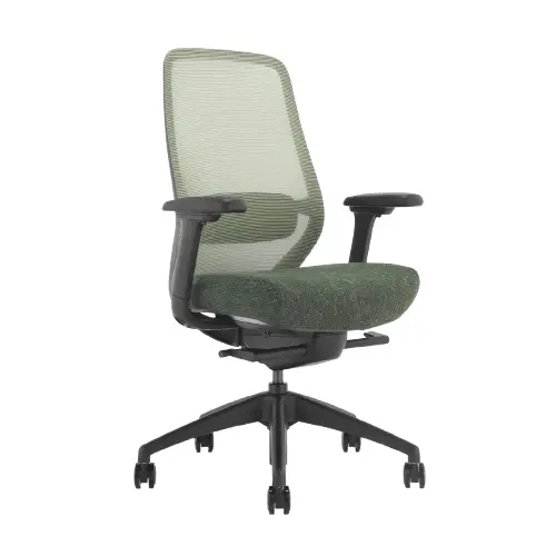 Desky Coilflex Ergonomic Office Chair - Dark Green / No Headrest 1