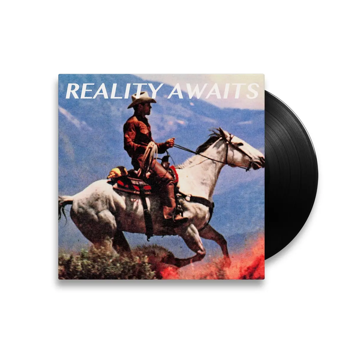 Reality Awaits (Vinyl) 1