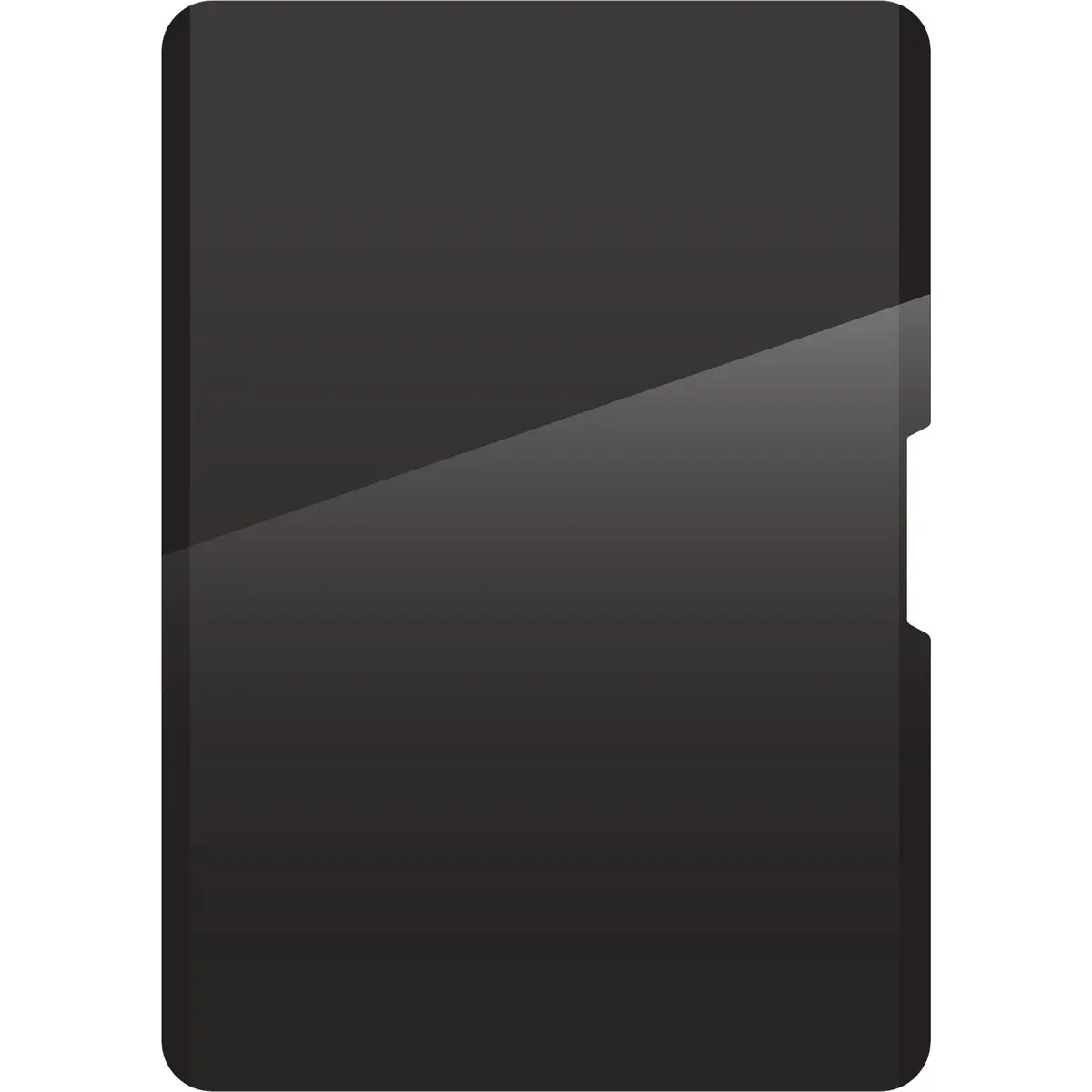 Zagg Removable 4-Way Privacy Filter For Apple Ipad Pro 13" (M5/M4) & Ipad Air 13” (M4/M3/M2) 1