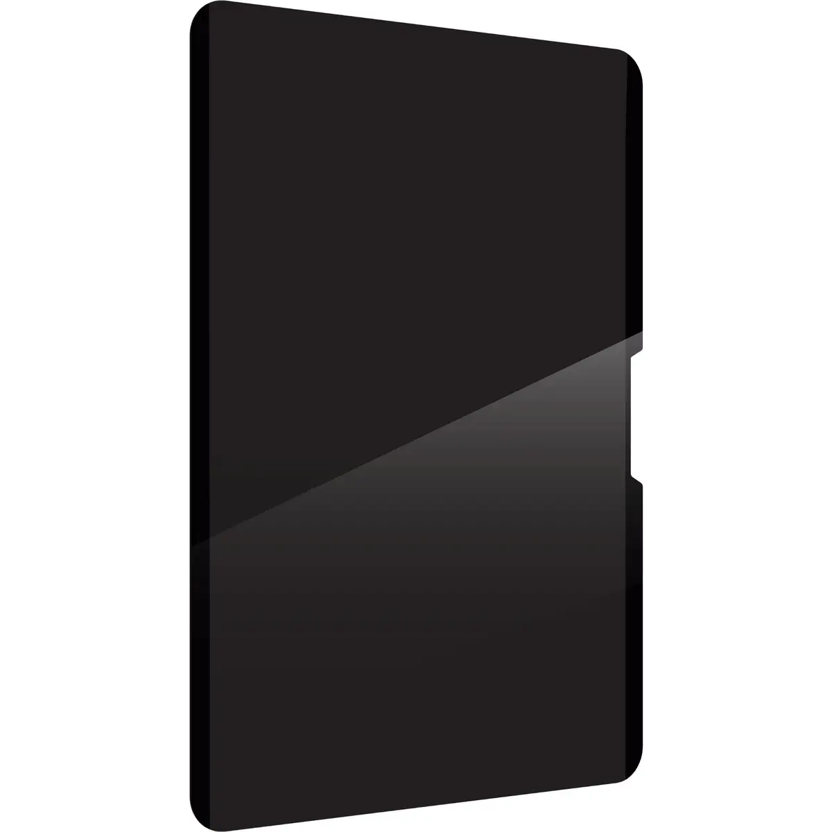 Zagg Removable 4-Way Privacy Filter For Apple Ipad Pro 11" (M5/M4) & Ipad Air 13” (M4/M3/M2) 2