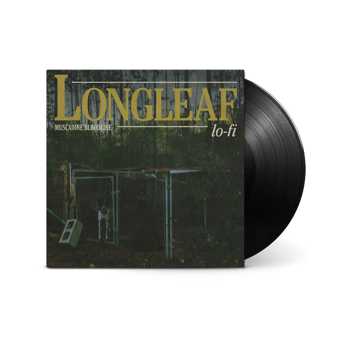 Longleaf Lo-Fi (Vinyl) 1